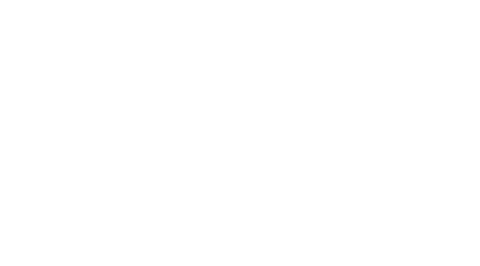 PCMFlash_L